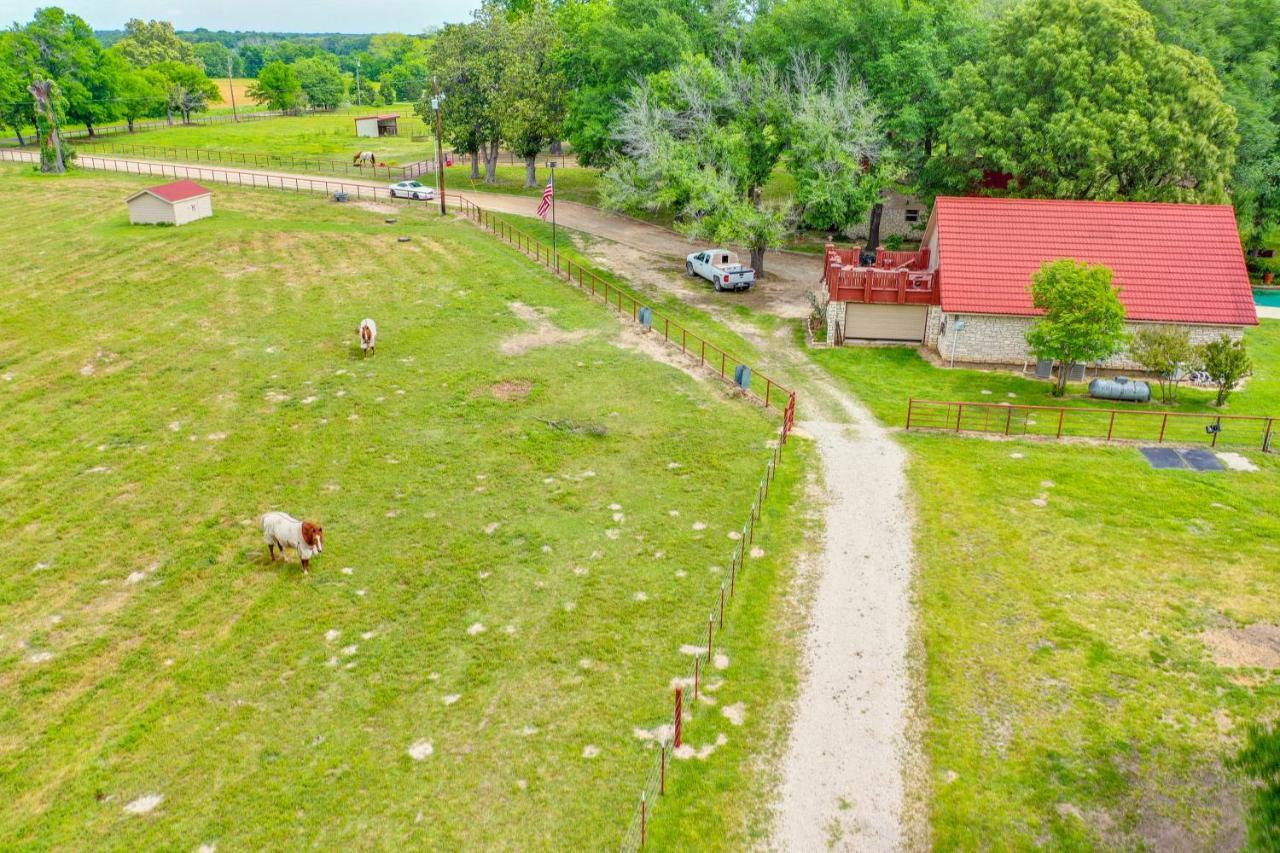 Dog-Friendly Wills Point Home With Grill On 10 Acres Canton Zewnętrze zdjęcie